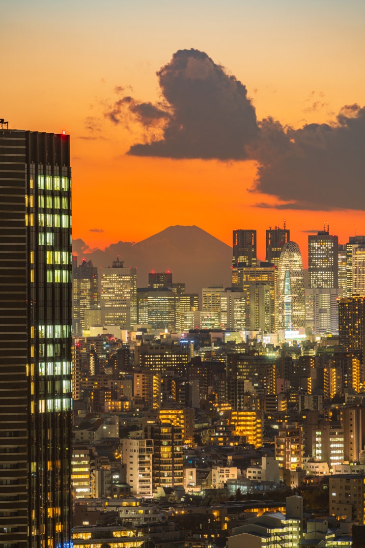 설 인사 이미지