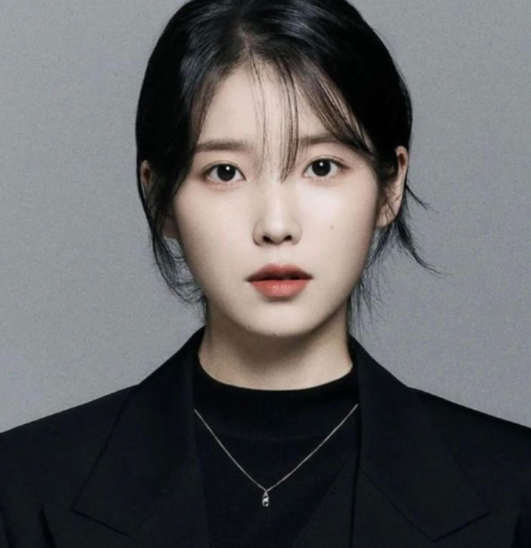 아이유 악플러 96명 법적 대응 "간첩설 유포자 벌금 500만원, 징역형도"