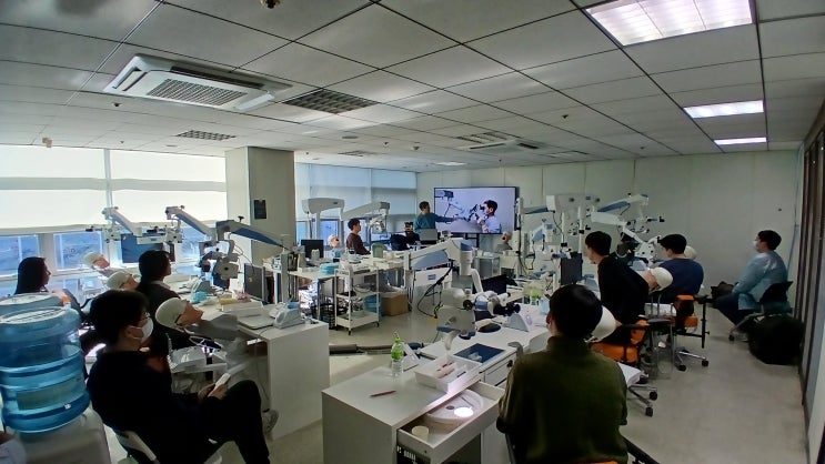 Doctors' Micro-ANATOMY : 네이버 블로그