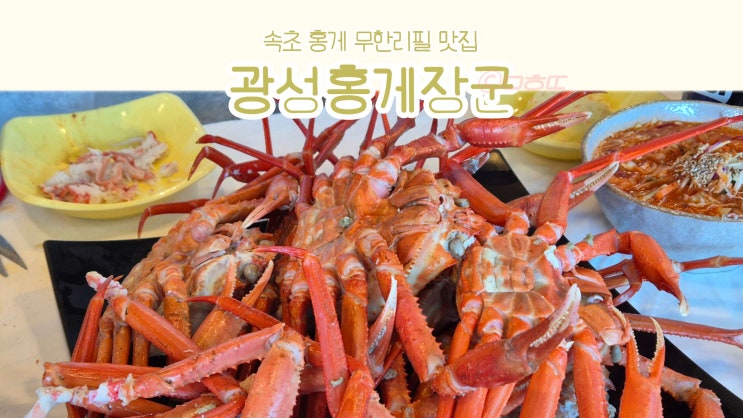 속초 홍게 추천 속초 홍게 무한리필 맛집 방문 후기 : 네이버 블로그