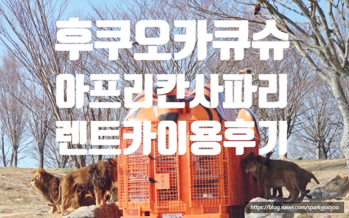 후쿠오카 유후인 근처 동물원 아프리칸사파리 렌트카로 이용꿀팁