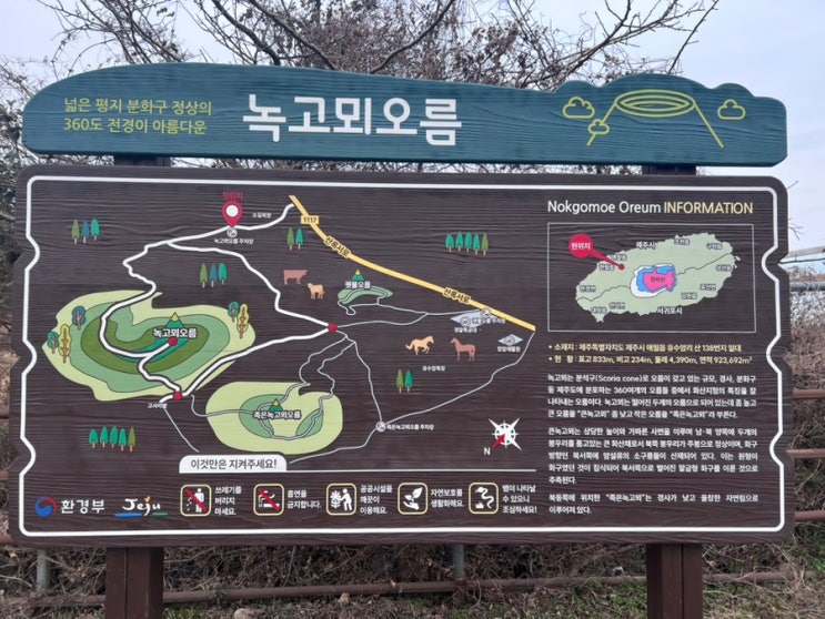 제주 큰노꼬메, 족은노꼬메 오름. 하루 1만3천보 2시간 걷기