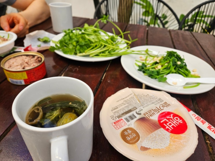 26년2월칸쿤-15일.Playa Caracol, Playa Delfines, 칸쿤타코맛집,치차론