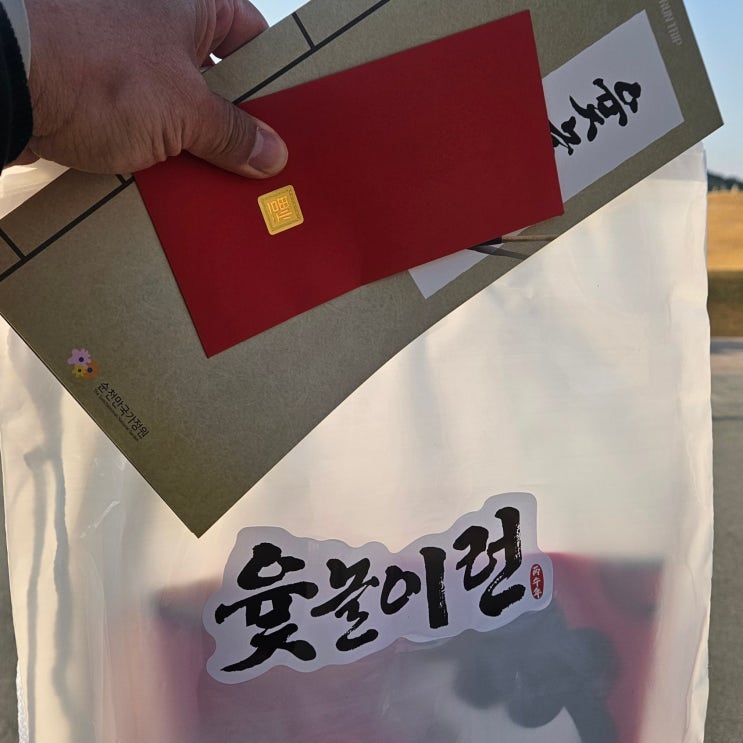 🏃‍♂️ [순천] 달리기야, 놀이야? 가족과 함께한 '윷놀이런' 생생 후기!