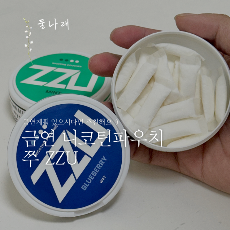 금연 니코틴파우치 쭈 담배대신 ZZU 어떠세요? : 네이버 블로그