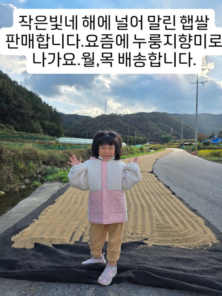 작은빛네 해에 널어 말린 햅쌀 오늘 발송합니다.요즘에 누룽지향미로 나가요.월,목 배송합니다. : 네이버 블로그