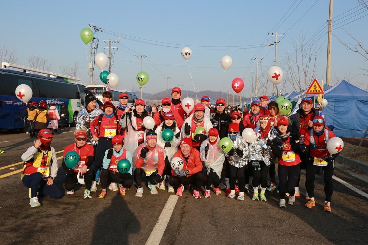 한파도 녹인 열정! '2026 화성 궁평항 동계 훈련마라톤' 봉사현장