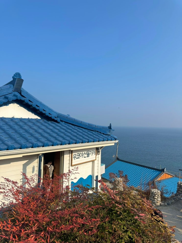 고속버스 타고 떠난 동해 묵호 여행 | 여행코스, 여행경비 꿀팁 : 네이버 블로그
