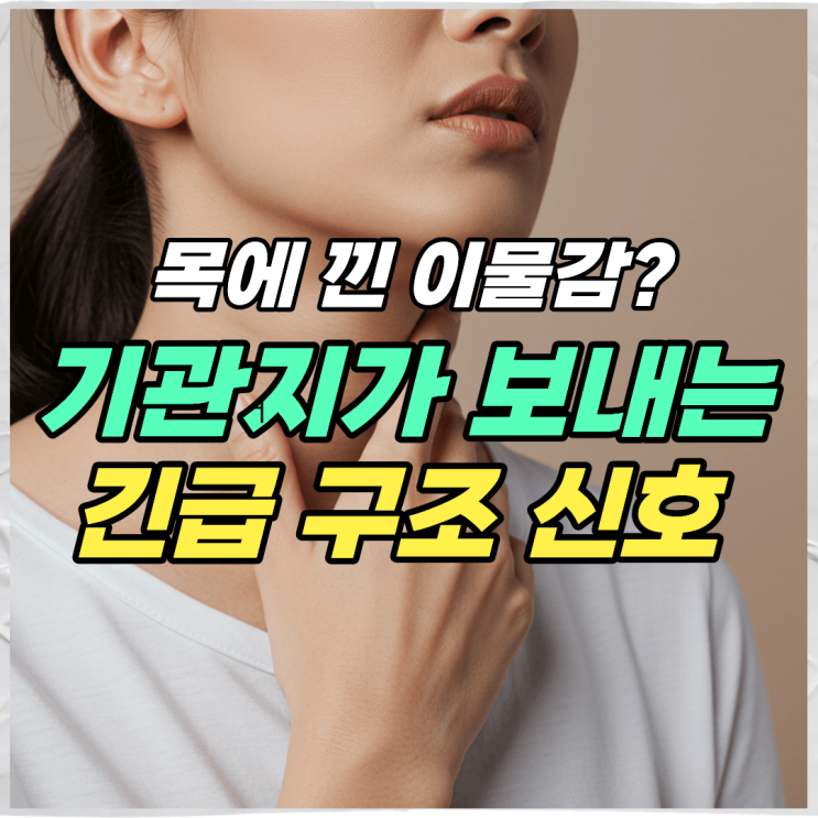 가래생기는이유 7가지 & 가래가계속 나올 때 가래삭히는법 : 네이버 블로그