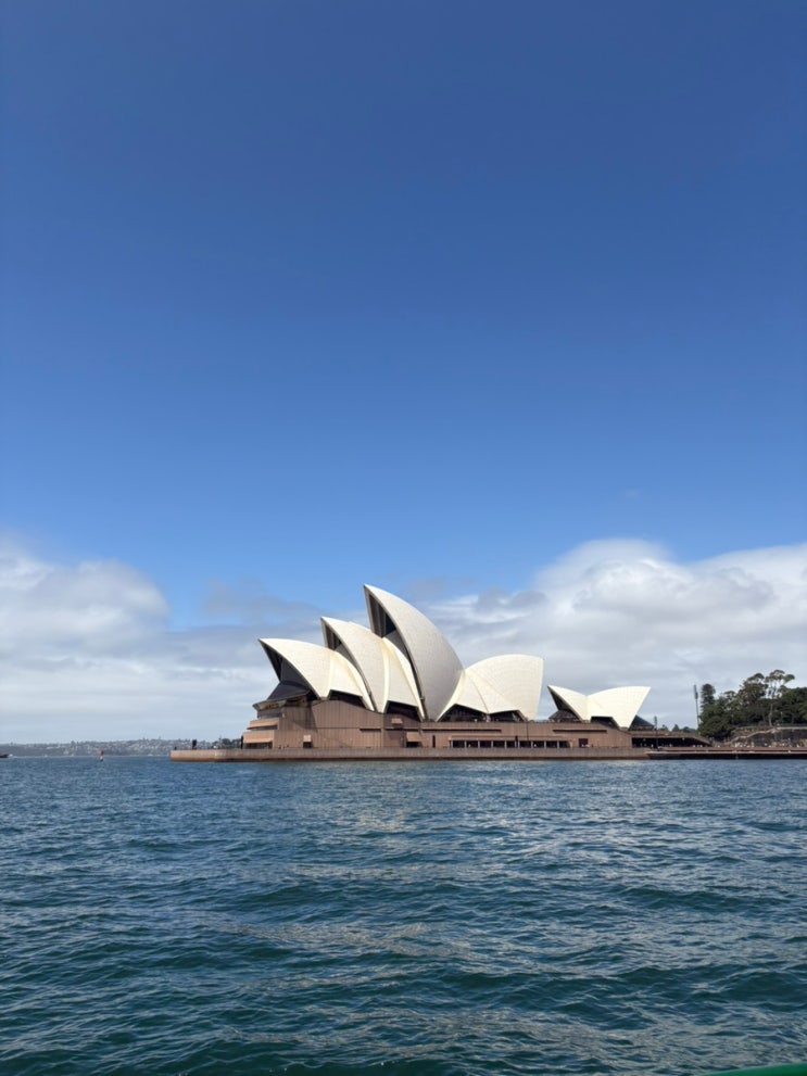 시드니에서싱글오/패디스마켓/레인코브국립공원