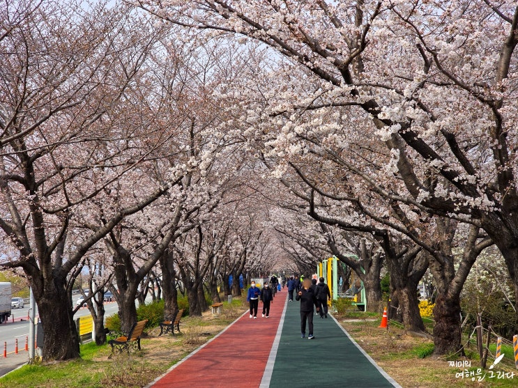 부산 데이트 가볼만한곳 1박2일 봄 여행 코스 Best5