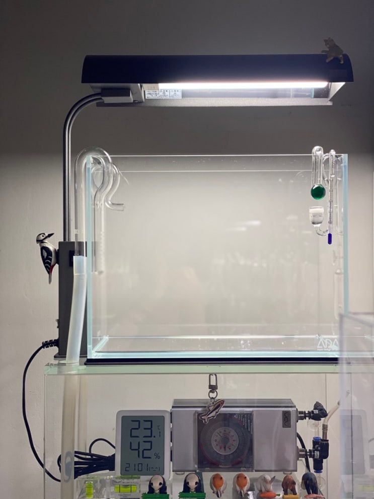 [ADA] ADA Solar Mini Cube Cabinet S, 세팅 준비.. : 네이버 블로그