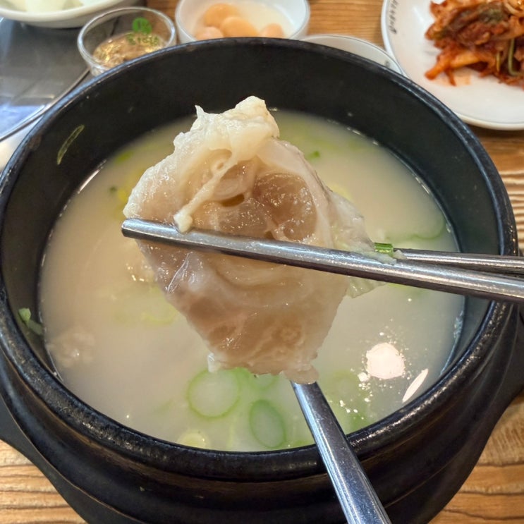 의정부 설렁탕 맛집 / 가마솥에서 끓이는 설렁탕 & 도가니탕 맛집 [ 녹각삼계탕 의정부본점 ] : 네이버 블로그