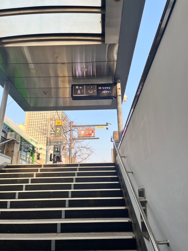 260221 희망드림 동계국제마라톤대회 후기