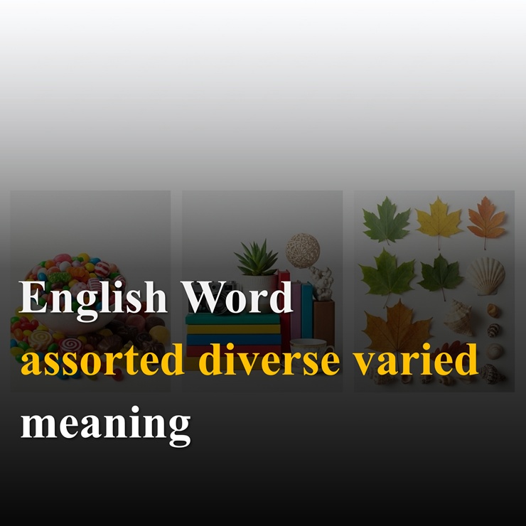 assorted diverse varied 의미와 뉘앙스 차이 알아보기 : 네이버 블로그