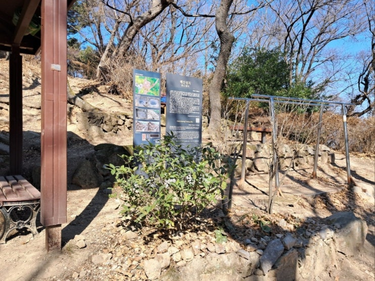 부산 배산둘레길 : 네이버 블로그
