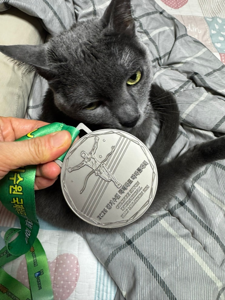 경기수원국제하프마라톤 10km 완주 후기