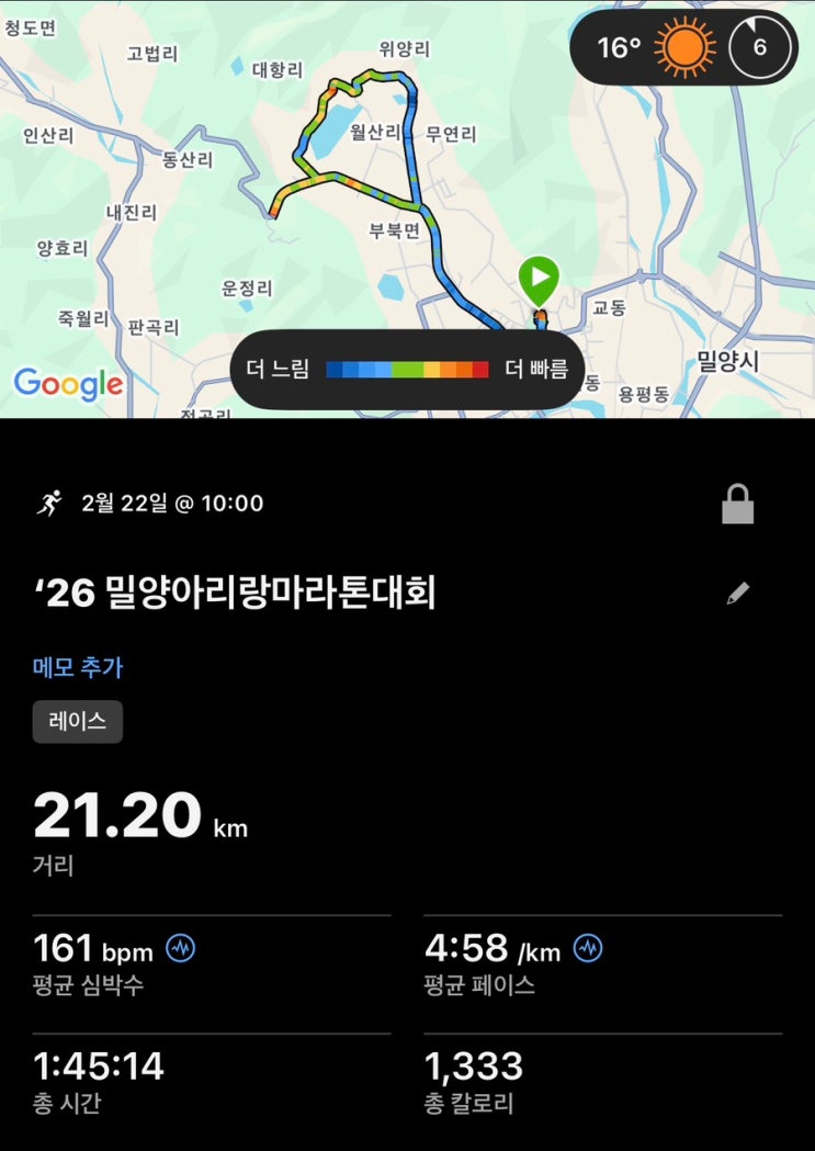 제22회 밀양 아리랑 마라톤대회 half 참가 후기