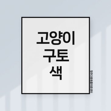 율량동 동물병원 고양이 구토 원인, 색 보고 확인하세요