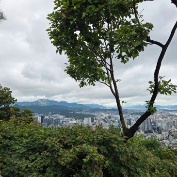 2025년 9월 20일, 남산둘레길을 걷다