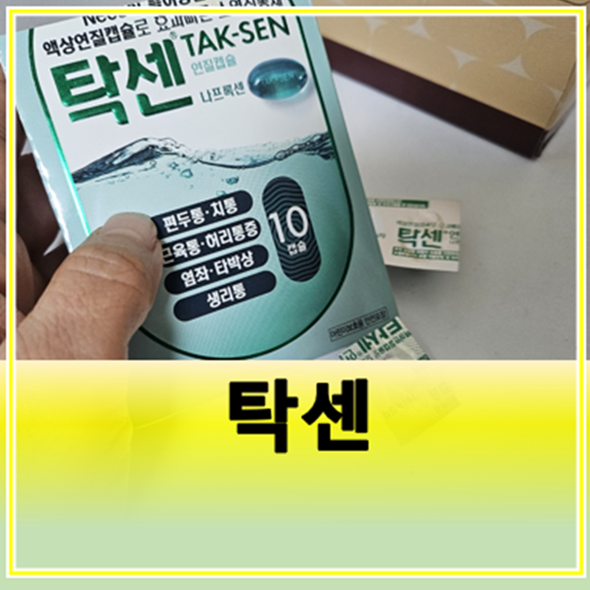 탁센 연질캡슐 효능 나프록센 성분 복용법 가격 : 네이버 블로그