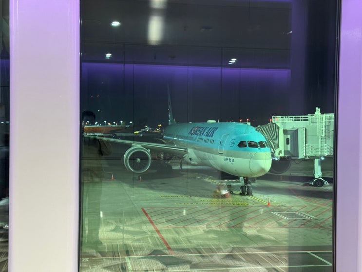 [25년 9월] 싱가포르-인천 대한항공 KE646편 탑승기, 싱가포르 창이공항 블라썸라운지 후기 : 네이버 블로그
