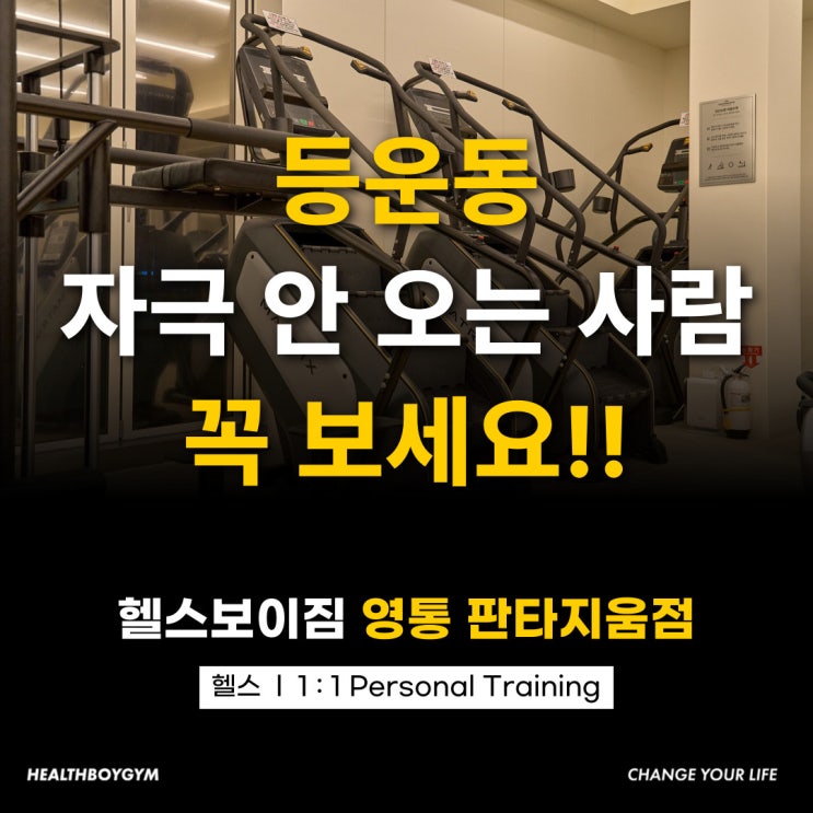 등운동 자극 안 오는 사람 꼭 보세요 : 네이버 블로그
