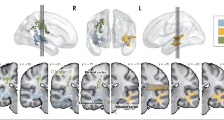 [관평동 한의원] 우리아이 집중력 걱정된다면