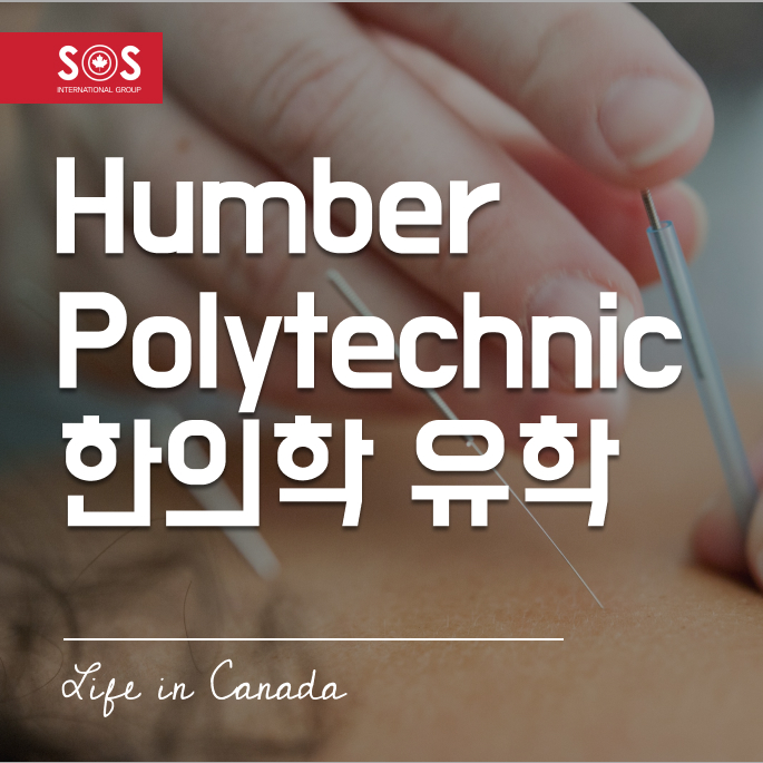 캐나다 한의학 유학 2026 | Humber Polytechnic TCM 4년제 전환 : 네이버 블로그