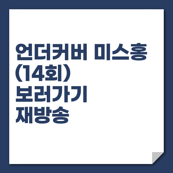 언더커버 미스홍 14회 재방송시간 편성표 보러가기 OTT 티빙 웨이브 넷플릭스 줄거리 : 네이버 블로그