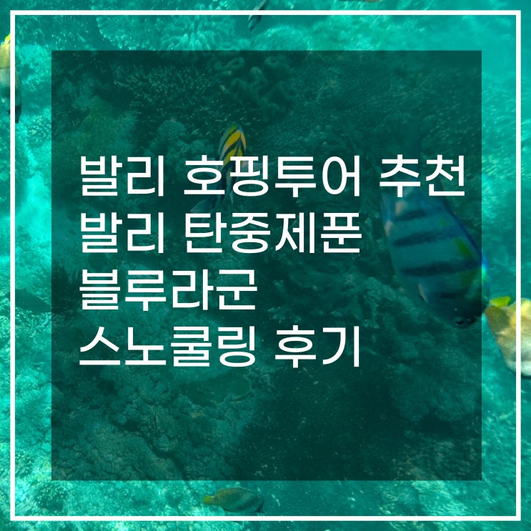 발리 호핑투어 추천 발리 탄중제푼 블루라군 스노쿨링 후기
