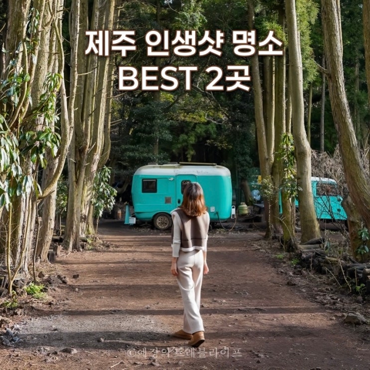 제주 구좌읍 가볼만한곳 송당무끈모루 안돌오름 비밀의숲