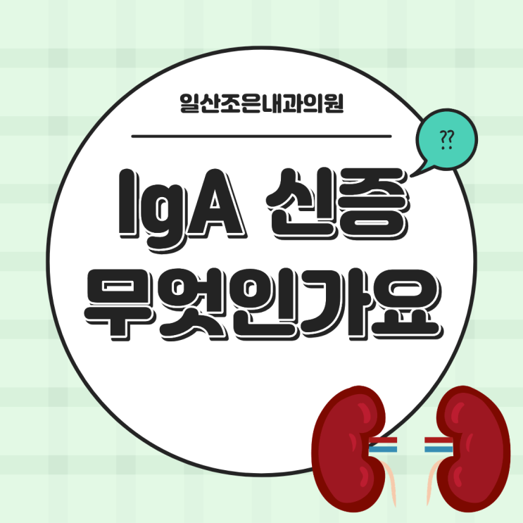 IgA 신증 완치 가능한가요? 단백뇨 수치 해석, 관리가 중요한 이유! : 네이버 블로그