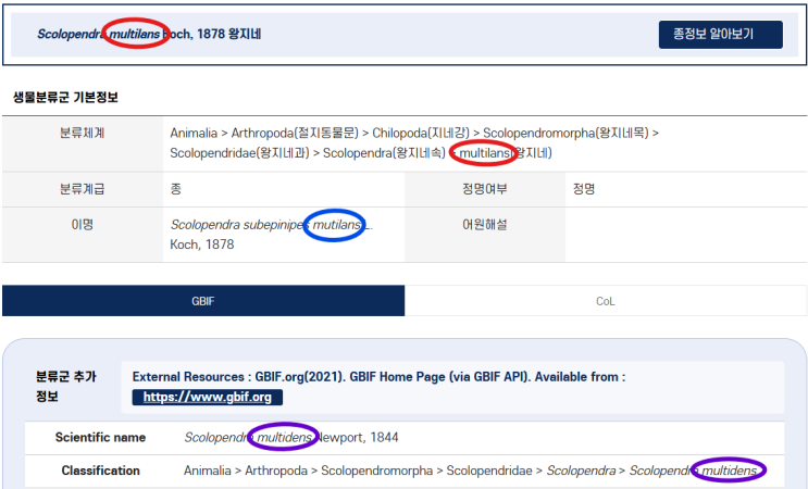 국립생물자원관 왕지네속 종 학명 표기 오류 : 네이버 블로그