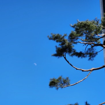 ◆고1 국어◆내신 대비반 개강◆은사 명문고만을 위한 글의힘◆꿈을 만나기 위한 글의힘◆기대합니다◆글의힘국어학원◆중계동국어학원◆ RSS 대표 이미지