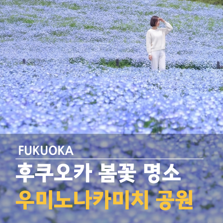 후쿠오카 공원 추천 우미노나카미치 해변공원 자전거 4월 네모필라 ....