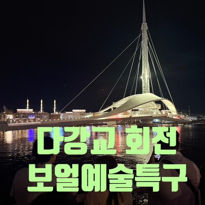 [가오슝 볼거리] 보얼예술특구 야경과 다강교 회전시간