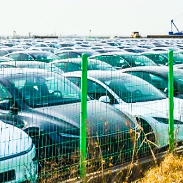 "테슬라 직원이 겨우 20명?" 평택항에 차량 수천대 방치된 이유!