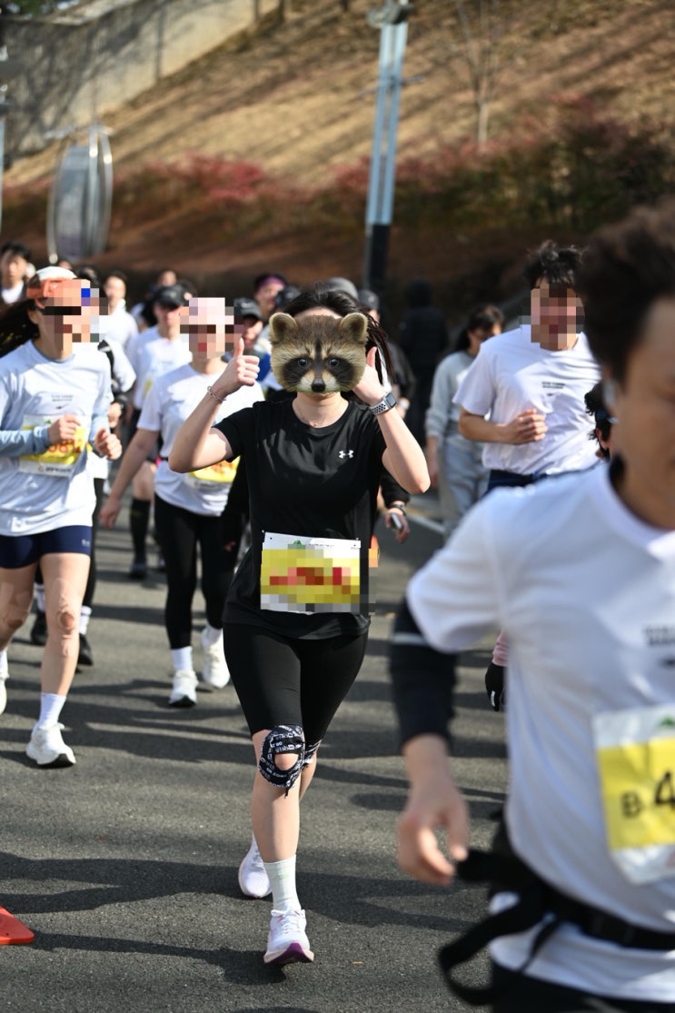 [마라톤 후기] 2026 대구마라톤 10.9km 완주 성공 후기🏃‍♀️