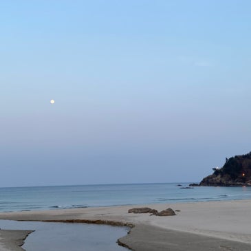 내가 합격할 상인가? RSS 대표 이미지