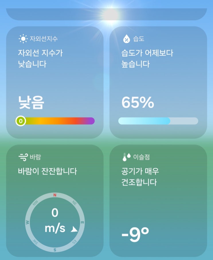 나의 4번째 러닝도전 "제16회 여의도 벚꽃 마라톤 대회" 참가 후기