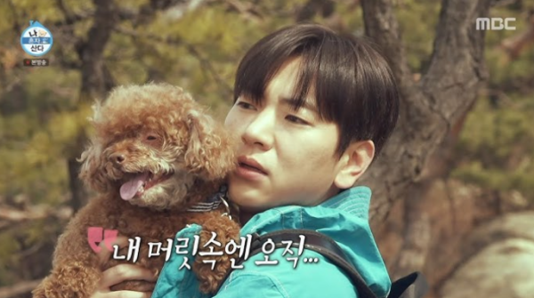 이주승 반려견 코코 별세 "고통과 싸워줘서 고마워" 추모 부탁