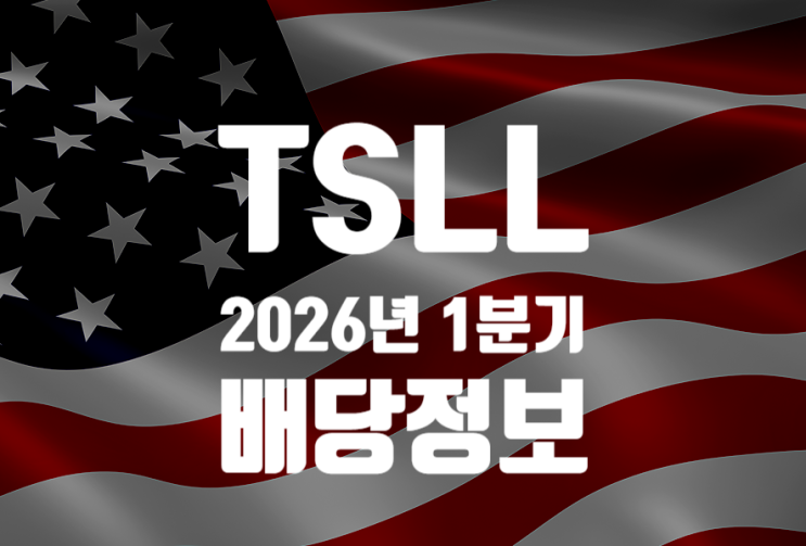 [TSLL] 배당금 전격 분석! 테슬라 2배 레버리지 배당 재투자 전략의 모든 것 - 2026년 3월(1분기) 배당정보 ...