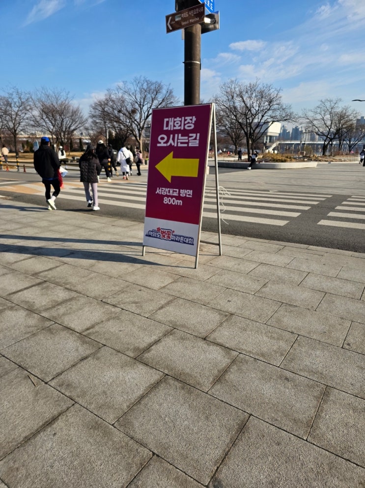 [서울 마라톤] 2026 제16회 여의도 벚꽃 마라톤 10km 완주 후기