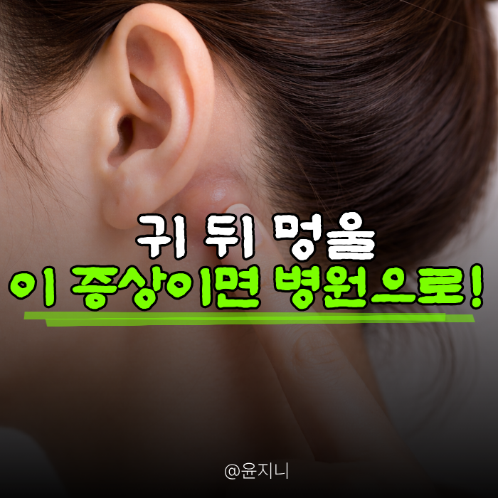 귀 뒤 멍울, 
