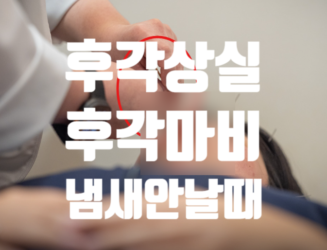 냄새가 안 맡아져요, 후각상실 주요 원인과 치료 시기는? : 네이버 블로그
