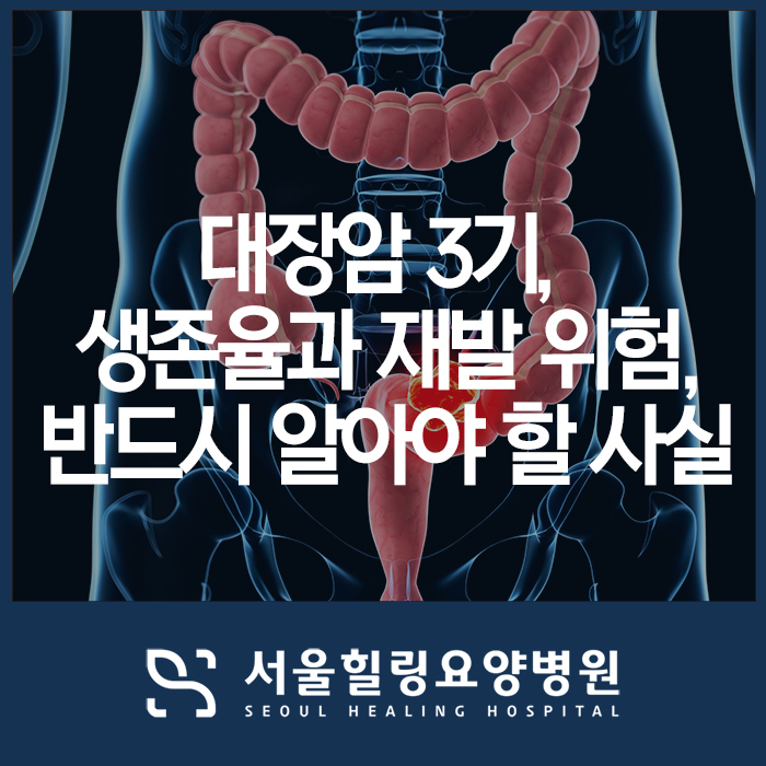 대장암 3기 생존율과 재발 위험, 반드시 알아야 할 사실 : 네이버 블로그