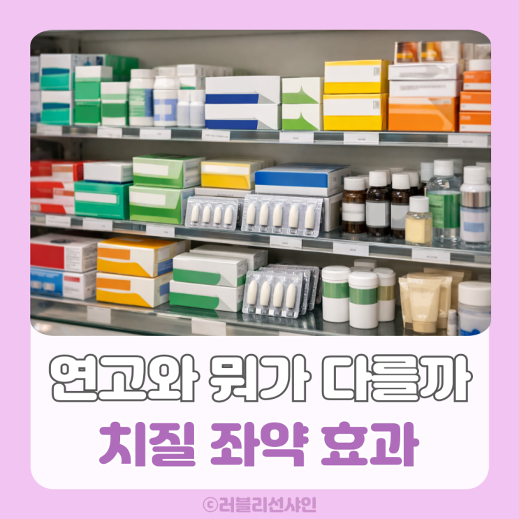 치질 좌약 효과 정말 있을까? 연고 치질약 푸레파인 좌약 비교 정리 : 네이버 블로그