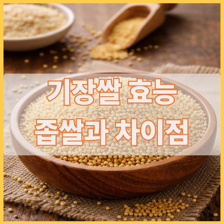 기장쌀 효능 영양성분 먹는법, 좁쌀과 차이점 : 네이버 블로그