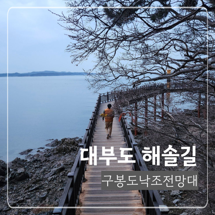 경기도 안산 대부도 해솔길 1코스 따라 구봉도낙조전망대 : 네이버 블로그